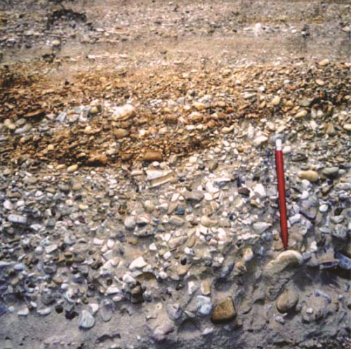 The contact between gravels and yellow sands of Montorio slope originate lots of springs | Succhiarelli C., 2010